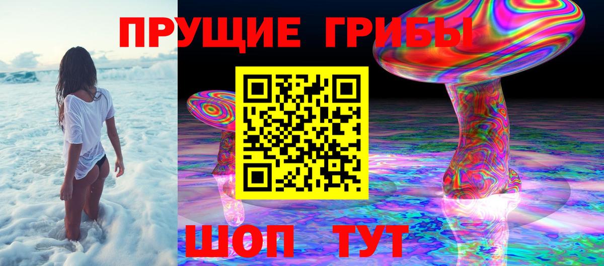 Псилоцибиновые грибы Psilocybe  Вход с VPN  Семилуки 