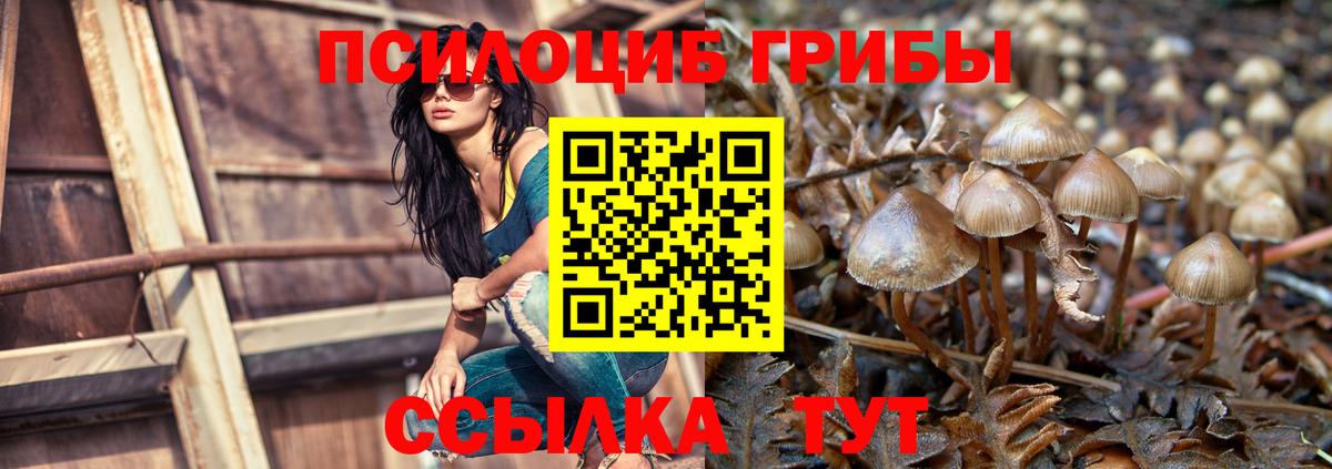 Галлюциногенные грибы прущие грибы Семилуки